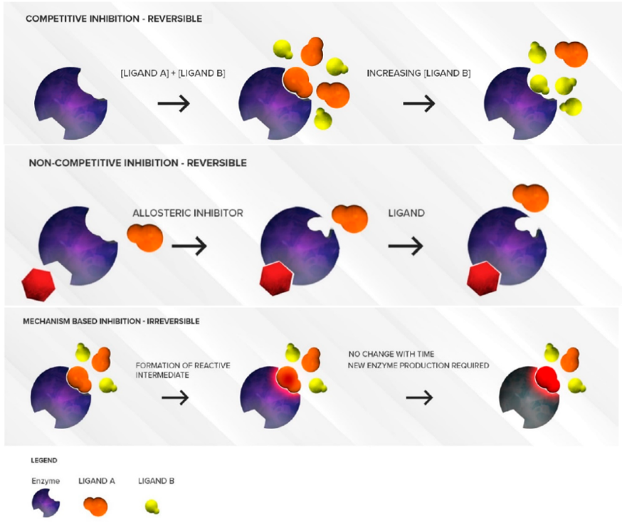 CYP450 inhibition mechanisms