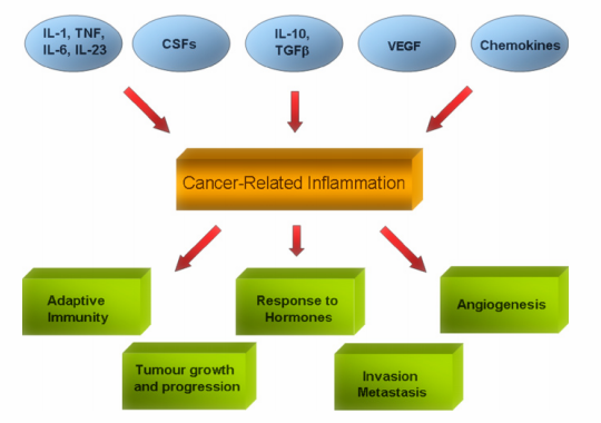 Role of Cytokines in cancer