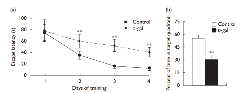 D-galactose (D-gal)-injected rats showed impairments of behavioral performance. (a) Comparison of latencies to platform during 4 training days in water maze test. (b) Percentage of time spent in the target quadrant in the probe test. **P<01 vs control group. Data represent mean±stand deviation from 10 rats per group. 
