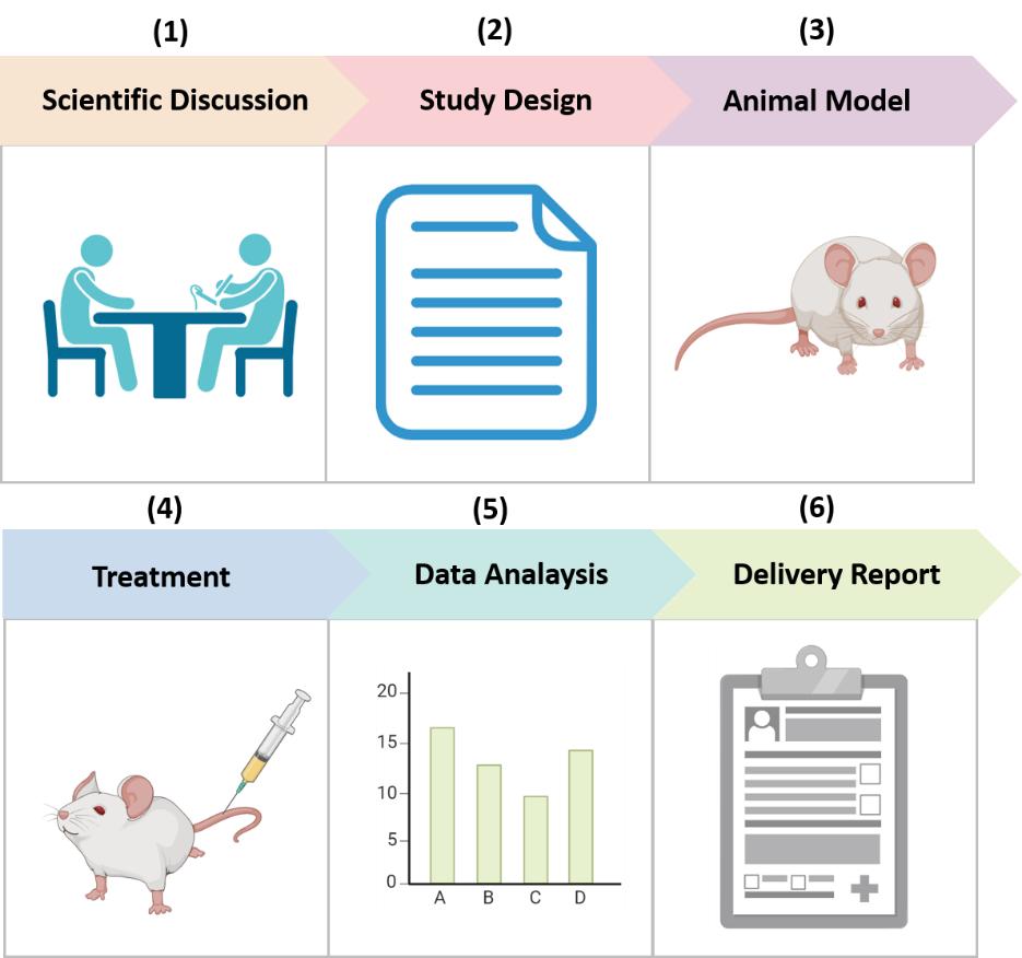 Fig. 2 Workflow of our digestive disease model