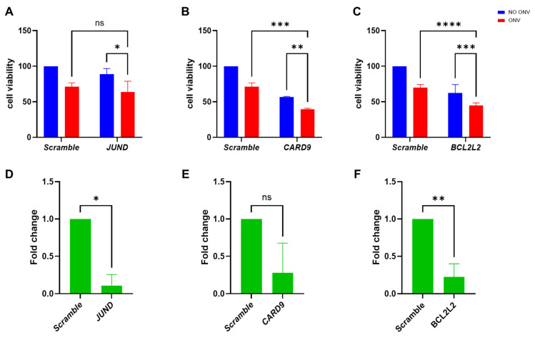Effects of esiRNA JUND, CARD9 and BCL2L2 transfection in EFO27.