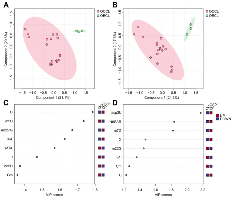 The PLS-DA score plots of exo-nucleosides (A) and endo-nucleosides (B), which were grouped by ovarian epithelial cell line (OECL), representing the control group and ovarian cancer cell line (OCCL).