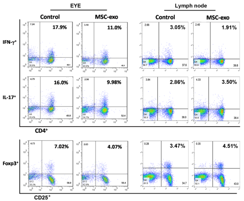  Analysis of T cell subsets from eye and lymph node.