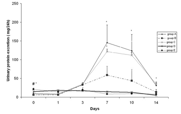Urinary protein excretion rate in the experimental groups. 