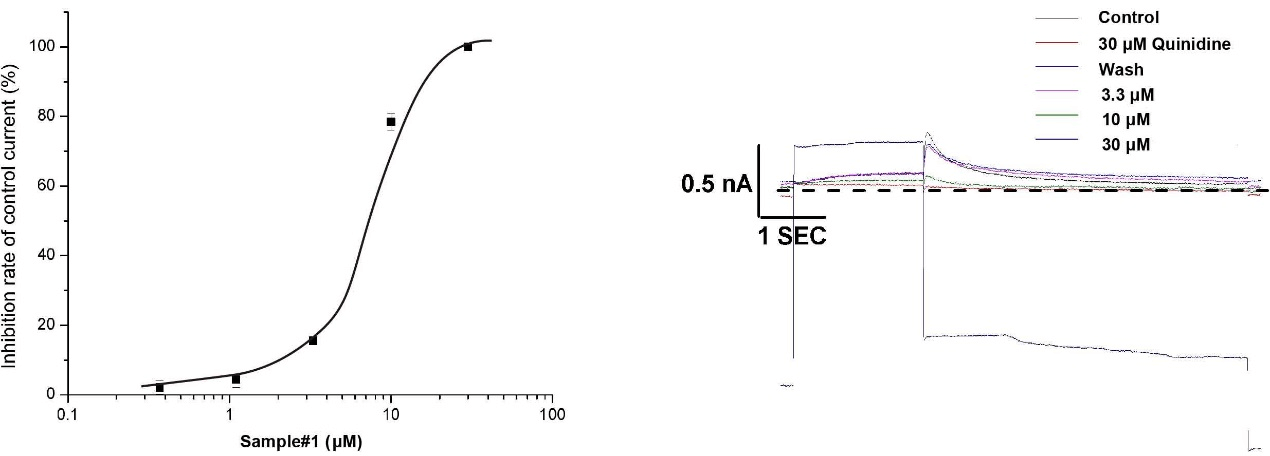 hERG Safety Assay