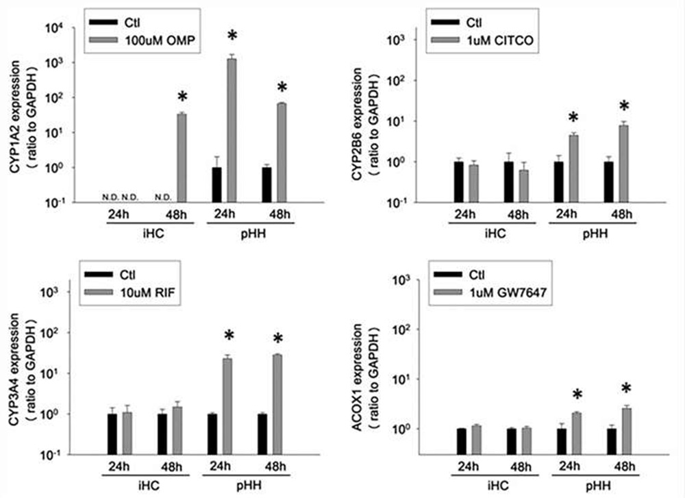 Fig. 3. Functionality of xenobiotic nuclear receptors and induction of downstream gene expression in cultured iHCs and pHHs