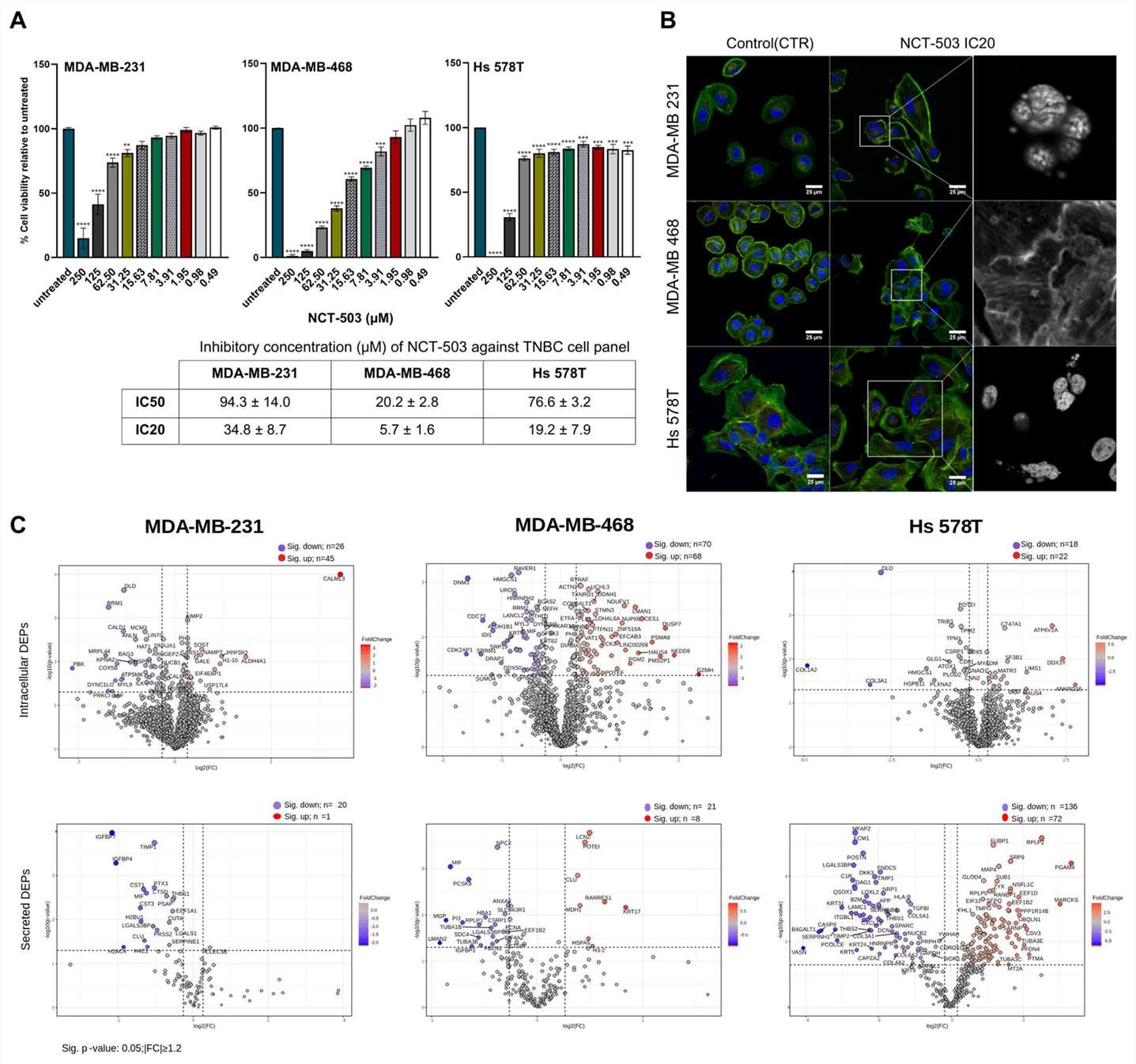 Evaluation of the antiproliferative effect induced by NCT-503 treatment in vitro.