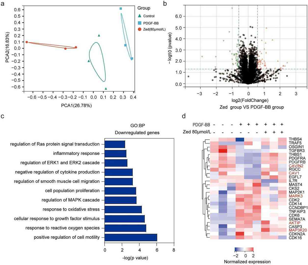 Quantitative proteomic analysis reveals the pathways enriched for the significantly changed proteins that mediate the inhibition effect of zedoarondiol on proliferation.