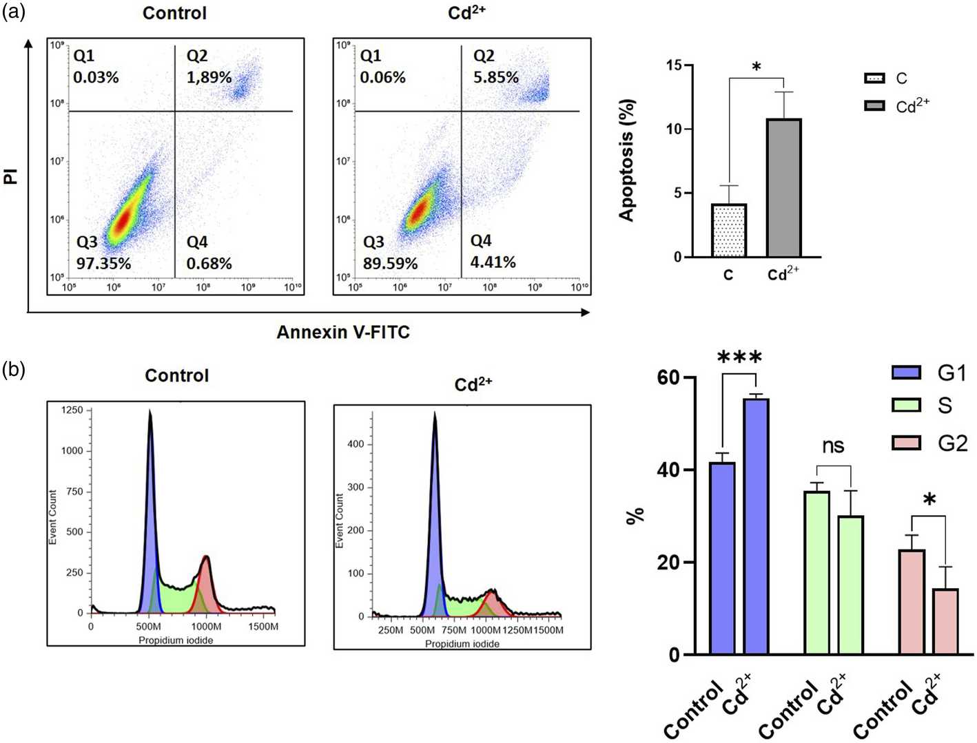 Annexin V-FITC/Propidium iodide assay and flow cytometry results of cell cycle analysis.