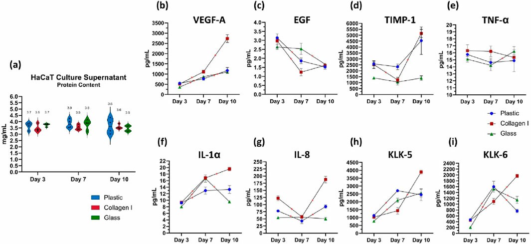 Immunoassays quantifying the levels of analytes (VEGF-A, EGF, TIMP-1, TNF-α, IL-1α, IL-8, KLK-5, and KLK-6) secreted by cultured keratinocytes on days 3, 7 and 10.