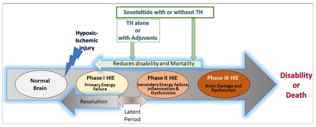 Fig. 1 Diagrammatic representation of the phases of hypoxic-ischemic encephalopathy (HIE)