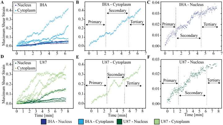 IHAs and GBM cells share deformation and creep responses under shear stress.