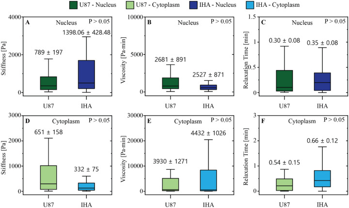 Under shear stress, viscoelastic properties do not differ between IHAs and GBM cells.