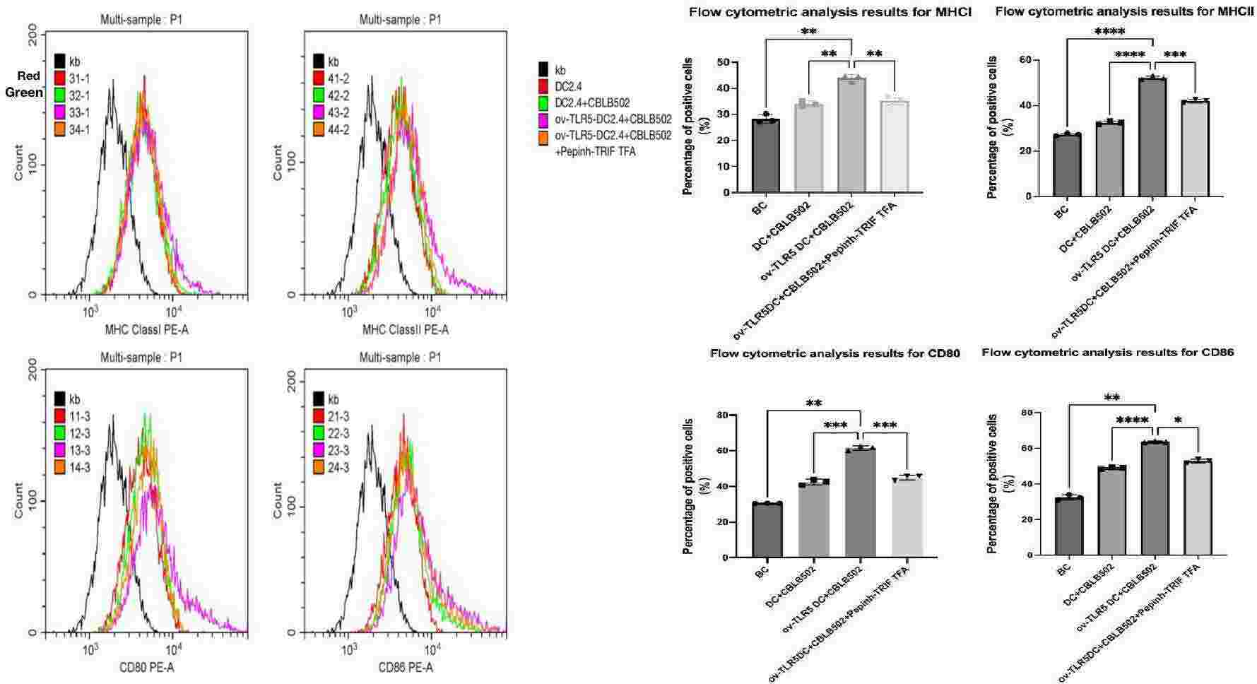 Flow cytometry detects the expression of surface molecules MHCI, MHCII, CD80, 86 in each group of cells.