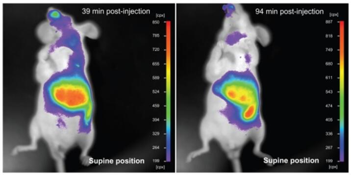 In Vivo Imaging Reagents