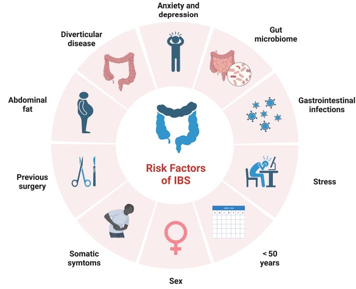 Fig. 1 Main risk factors in irritable bowel syndrome (IBS)