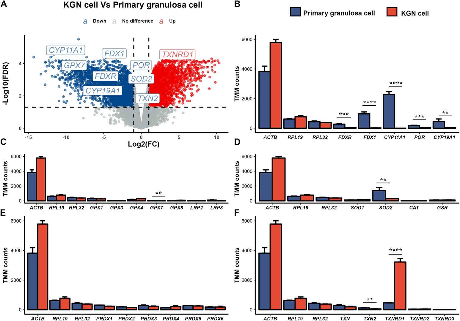 Comparison of RNA-seq expression data between KGN cells and human primary granulosa cells.