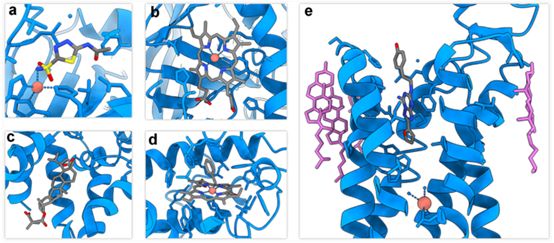 small molecule structure; protein structure; MicroED technology; drug discovery