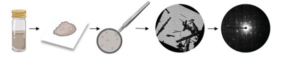 MicroED workflow; small molecule structure; protein structure; MicroED technology