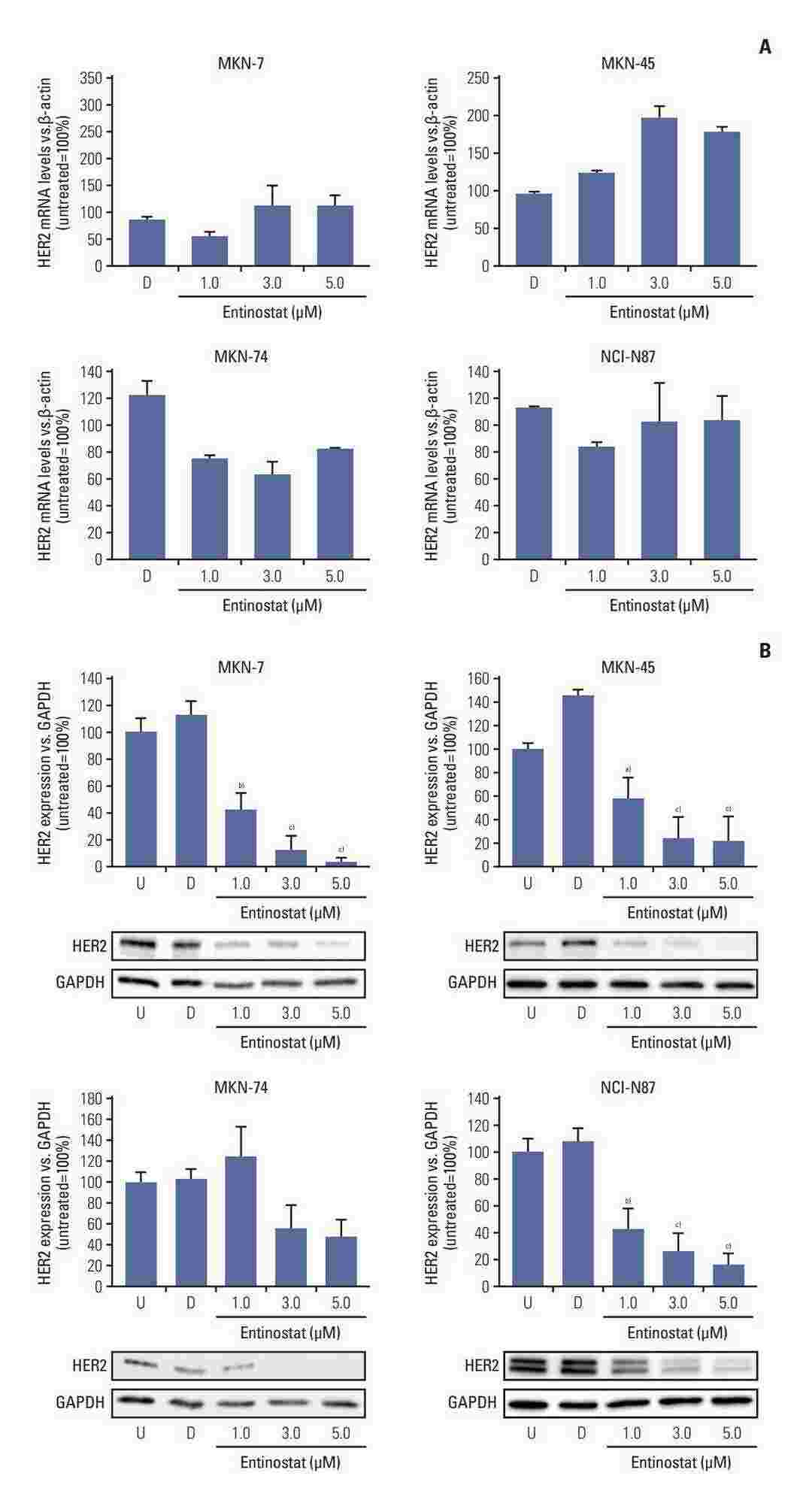In vitro entinostat treatment reduces HER2 protein expression in HER2-amplified and non-amplified GC cells.