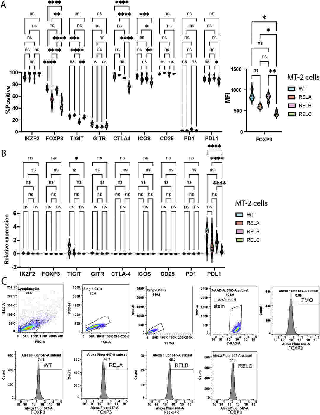 (A) The expression of oncogenic related genes in ESCC cell lines. (B) Expression of invasion related genes in ESCC cell lines. (C) NRF2 expression in ESCC cell lines. (D) Expression of differentiation related genes in ESCC cell lines. (E) Expression of immune related genes in ESCC cell lines.