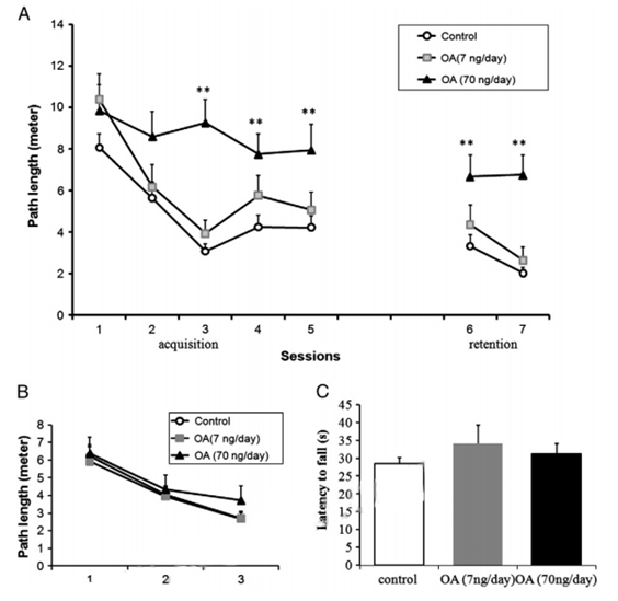 Okadaic Acid Induced Model