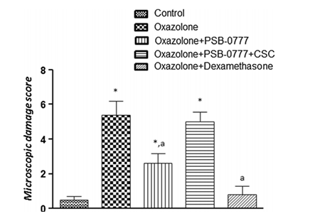 Microscopic damage scores estimated for colon in rats under normal conditions or after oxazolone treatment, either alone or in the presence of PSB-0777 (0.4 mg/kg/day) alone or in combination with CSC (1 mg/kg/day), or dexamethasone (1 mg/kg/day) administration. 