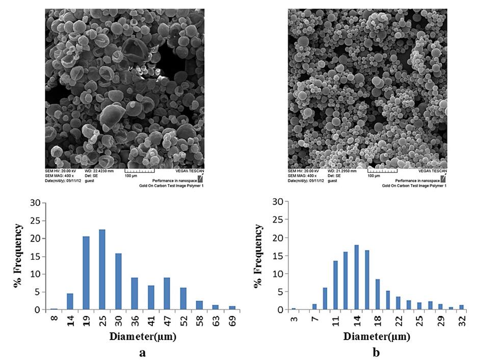 Particle Size Analysis (TEM, SEM)