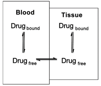 Plasma Protein Binding Assay