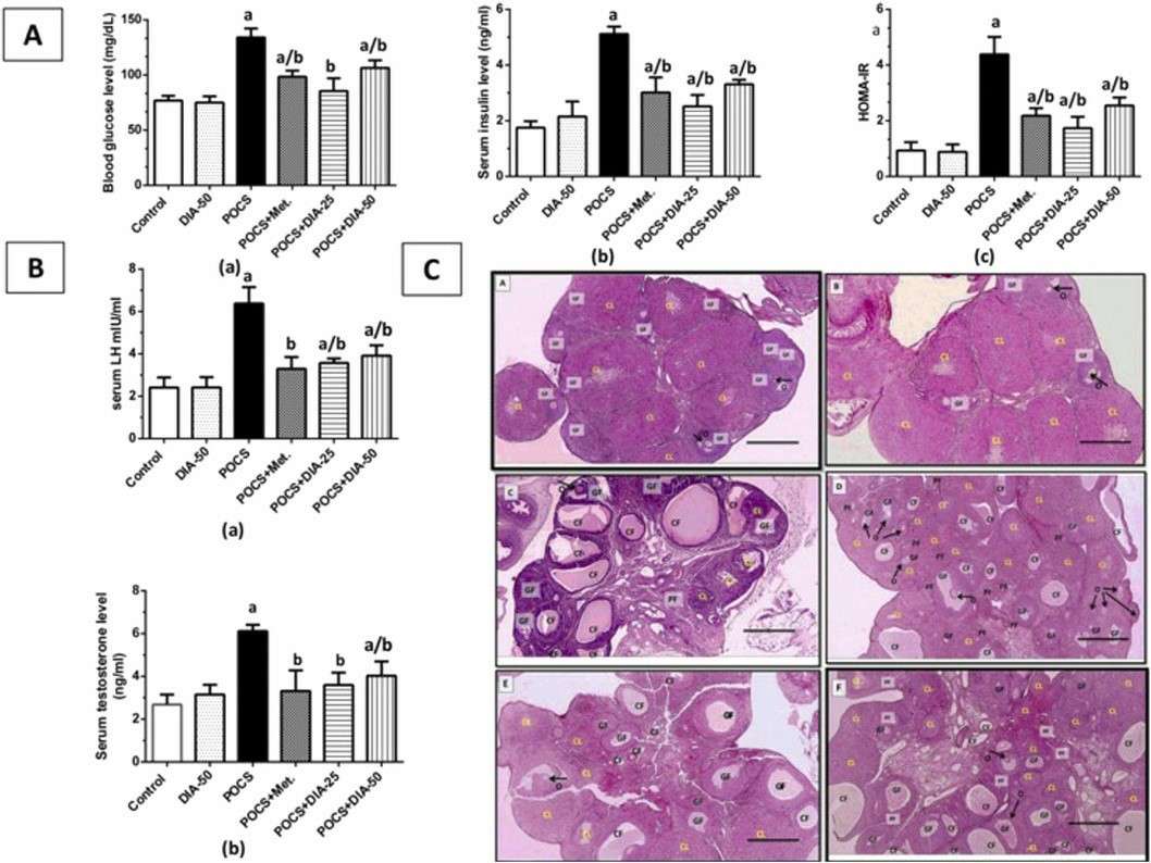 Effects of DIA treatment on metabolic and reproductive parameters in letrozole-induced PCOS, including changes in FBG, insulin, HOMA-IR, LH, testosterone levels, and histological features of ovaries.