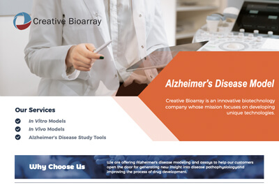 Alzheimer's Disease Model
