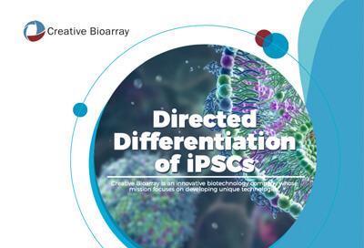 Directed Differentiation of iPSCs