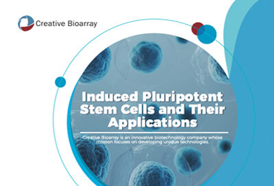 Induced Pluripotent Stem Cells and Their Applications