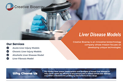 Liver Disease Models