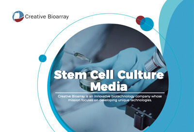 Stem Cell Culture Media