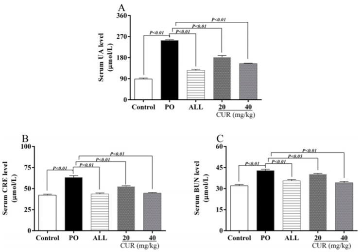 Effects of CUR on hyperuricemia and kidney injury in hyperuricemic mice. (A) The level of serum UA. (B) The level of serum CRE. (C) The level of serum BUN. 