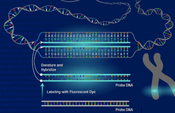 Molecular Biology Protocols