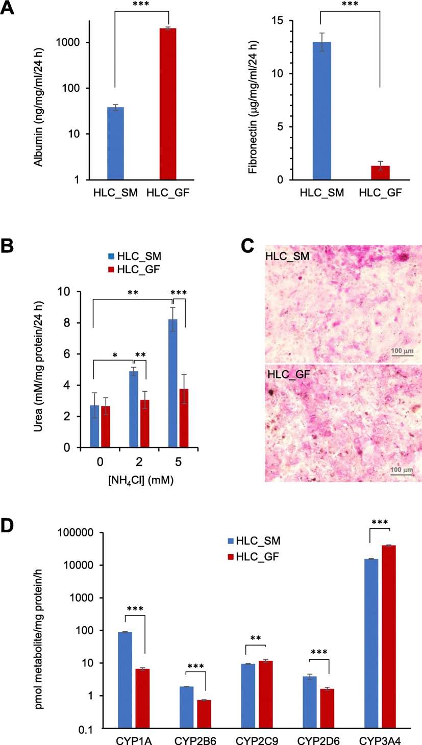 Fig. 2. Functional analysis of hepatocyte-like cells derived using the small molecule-based protocol (HLC_SM) in comparison to those derived using the growth factor-based protocol (HLC_GF)
