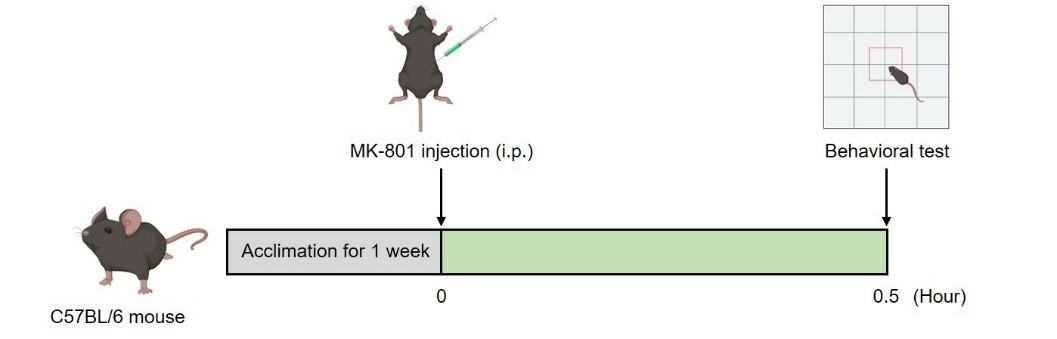 Image depicting the modeling method of MK-801-induced schizophrenia used by Creative Bioarray.