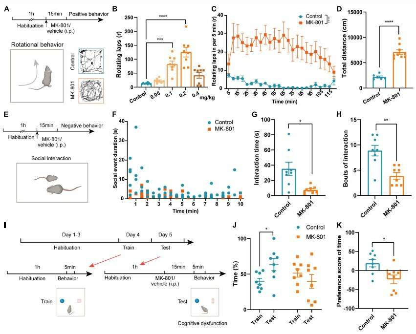 Image depicting the impact of MK-801 on schizophrenia-like behaviors in mice.