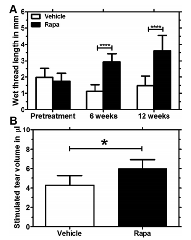  Tear secretion improved in Rapa-treated mice relative to the vehicle group.