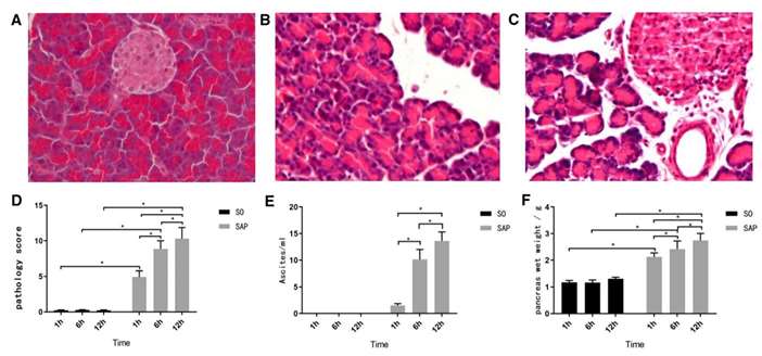 Fig. 1 Examination of histopathology and clinical characteristics.