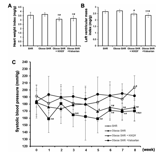 Effects of HXQY decoction on heart structure and blood pressure in obese SHRs.
(A–C) After 8 weeks of treatment, the heart weight index (A) and LVMI (B) in SHRs were measured. The systolic blood pressure of SHRs before and during the 8-week period of drug treatment was measured once per week (C). n = 9 for each group; ※P < 0.05, compared with the control SHR group; #P < 0.05, compared with the Obese SHR group; ✝P < 0.05, compared with the Obese SHR +HXQY group; ‡ P < 0.05, compared with the baseline (0 week).
 