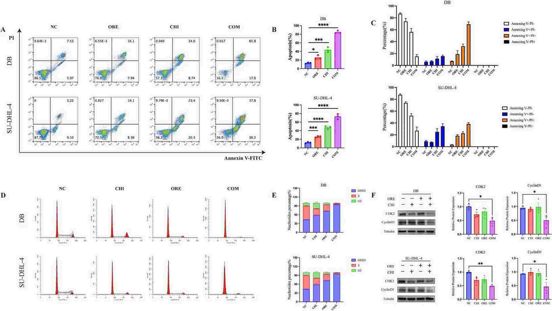 Effects of the combination of chidamide and orelabrutinib in DLBCL cell apoptosis and cell cycle at the G0/G1 phase