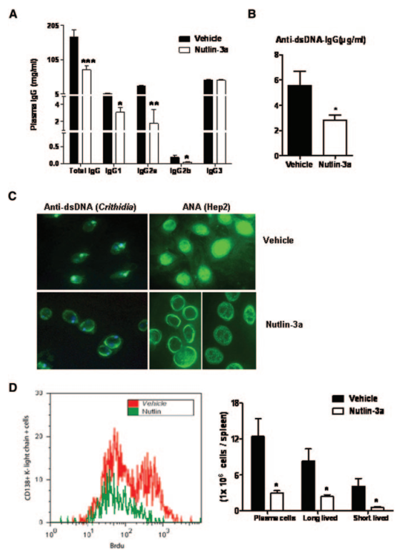 Mdm2 blockade affects autoantibodies in experimental lupus.