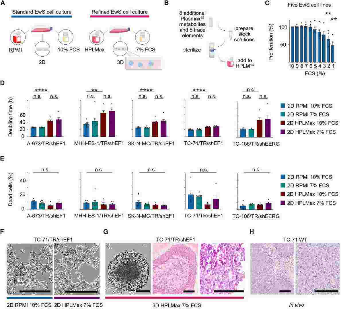 Refined techniques for in vitro culture of EwS cell lines and proliferation assessment.