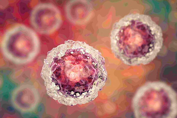 Human Tumor Cells