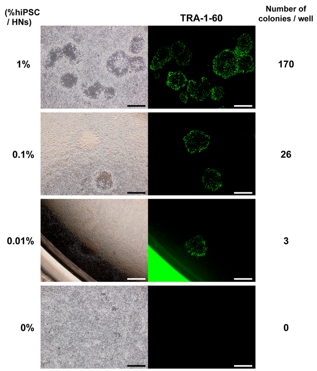 Detection of hiPSCs spiked into human neurons.