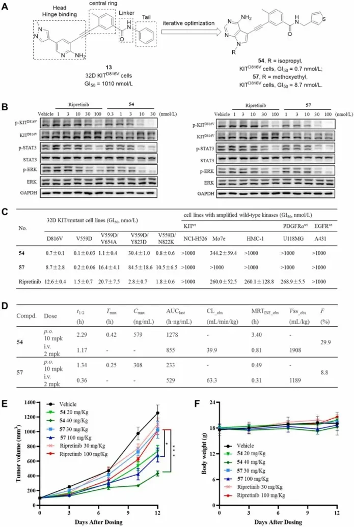 Structural optimizations and biological evaluation for potent KITD816V inhibitors