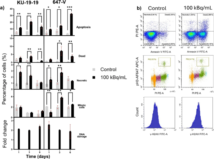 Quantification of cell viability and DNA damage in KU-19-19 and 647-V cells after exposure to 100 kBq/mL [212Pb]Pb-TCMC-chOI-1 for 24 h.